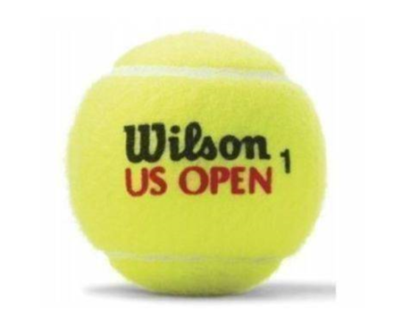 Wilson US Open 1062 x3 tennis balls
